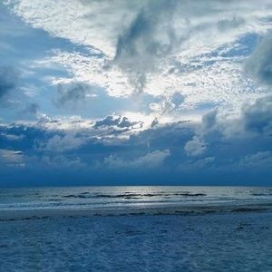 Meet your Posher, Bart